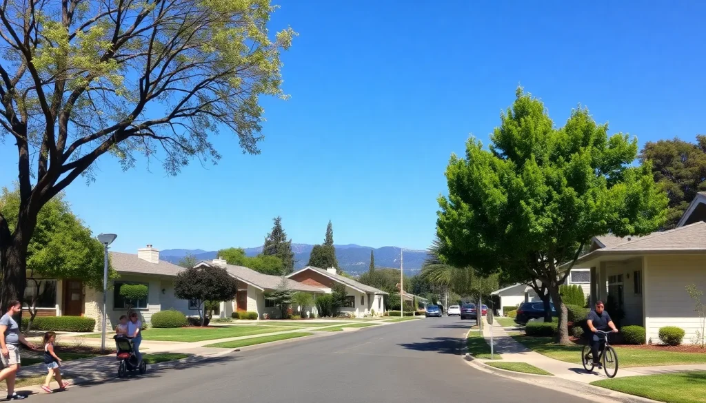 Featured image for Southgate Neighborhood Guide: Palo Alto's Mid-Century Modern Heart — Local History & Heritage