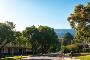 Palo Verde Neighborhood Guide: Mid-Century Modern Living in Palo Alto’s Heart