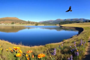 Foothills Nature Preserve Visitor Guide