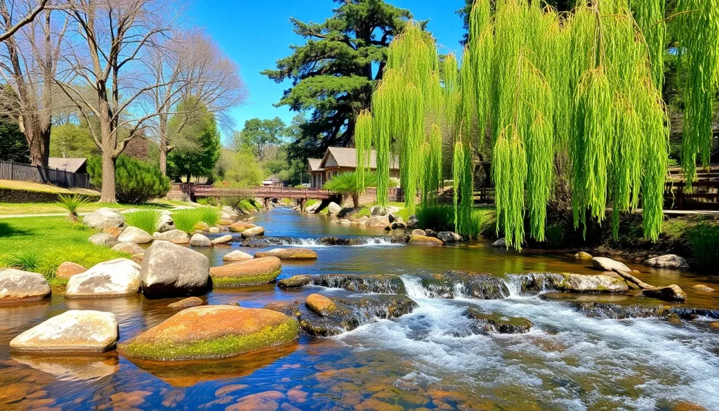 Featured image for San Francisquito Creek Through Palo Alto: A Comprehensive Guide — Creeks