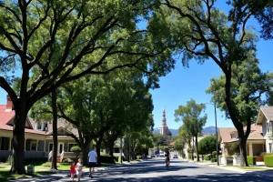 University South Neighborhood Guide: History, Housing, and Local Life